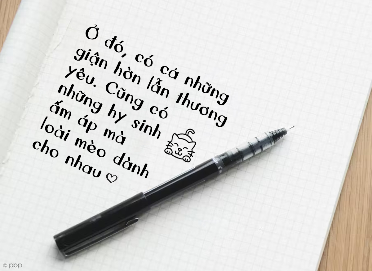 Font Lazy Fox Việt Hóa - Font chữ dễ thương