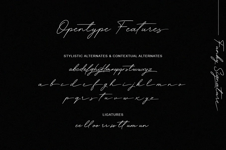 Funky Signature Opentype Features
